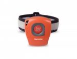 RAYMARINE MOB LifeTag
